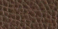 cw_l018.a