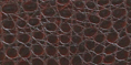 cw_l048.a